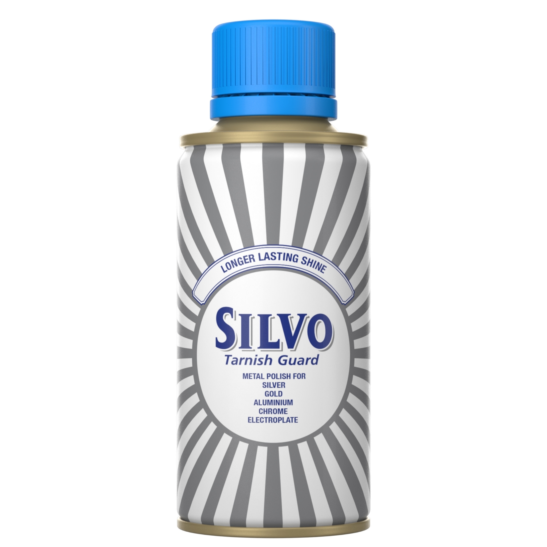 Picture of SILVO POLISH (P)