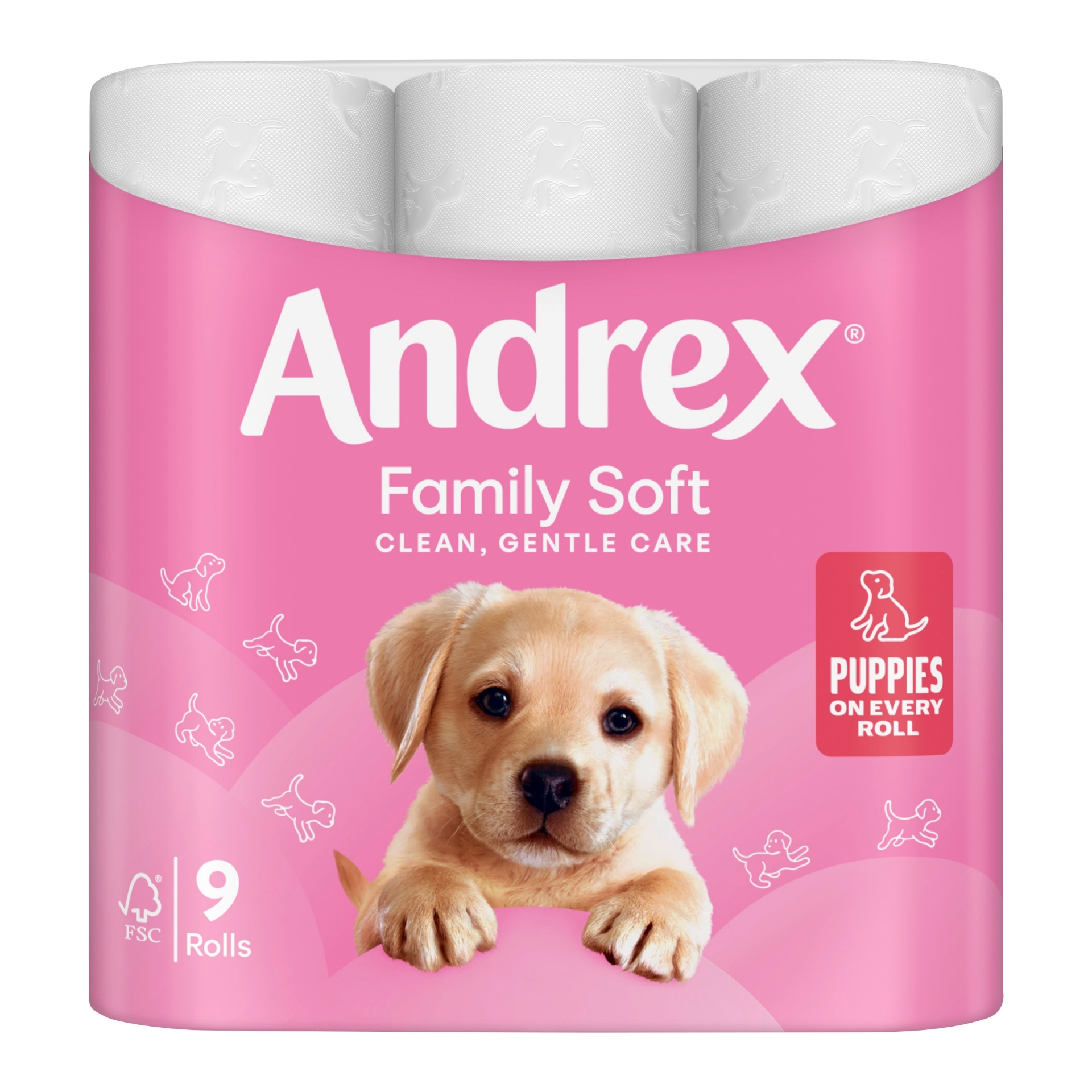 Picture of ANDREX TOILET ROLL - GENTLE CLEAN 2ply 170Shts