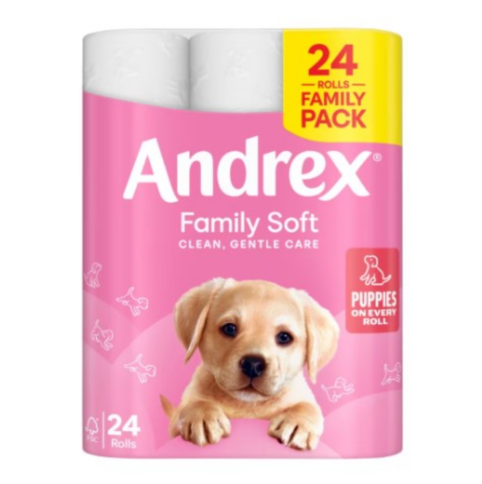 Picture of ANDREX TOILET ROLL FAMILY-GENTLE CLEAN 170Sht (P)