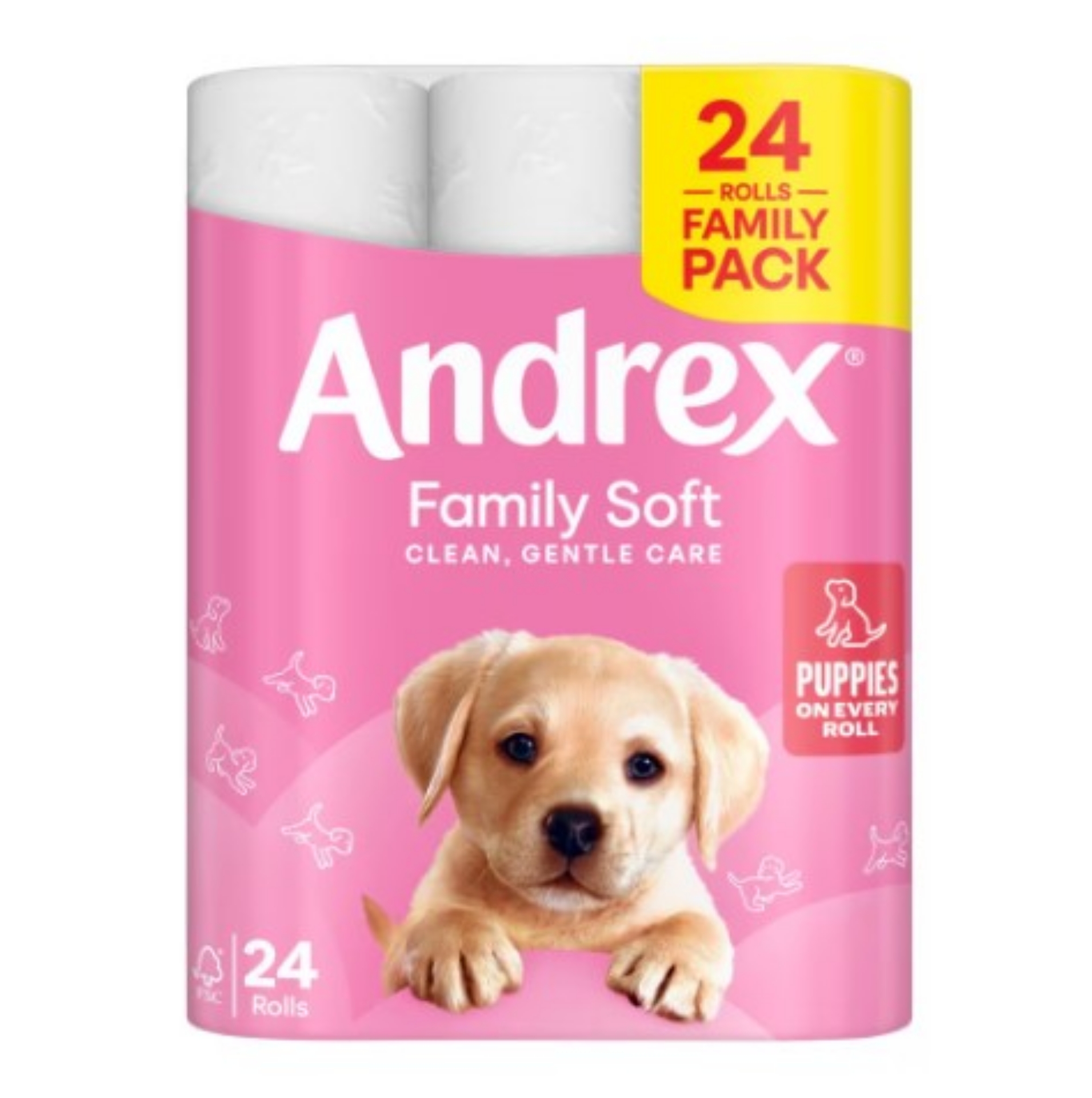 Picture of ANDREX TOILET ROLL FAMILY SOFT 2Ply 170sht(P) FSC®