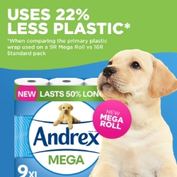 Picture of ANDREX TOILET ROLL - CLASSIC CLEAN MEGA 300sht^