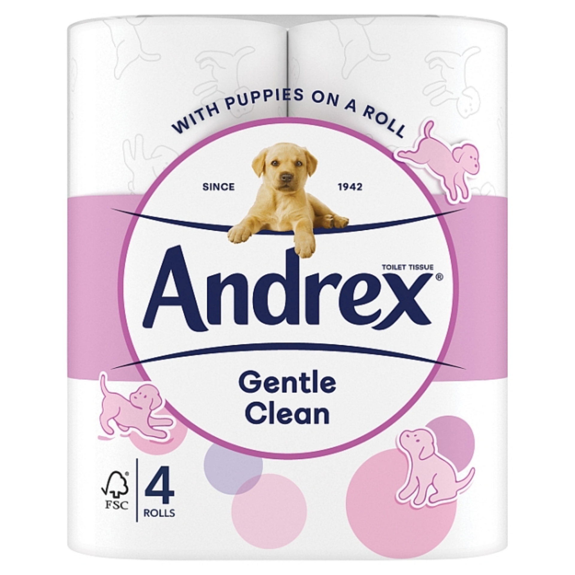 Picture of ANDREX TOILET ROLL - GENTLE CLEAN (POAR) 170Sht