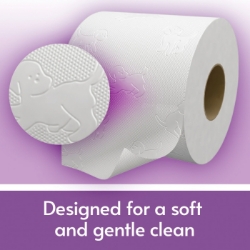 Picture of ANDREX TOILET ROLL - GENTLE CLEAN pm2.99 170Sht