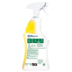 Picture of DETTOL POWER & FRESH CITRUS SPRAY (P)