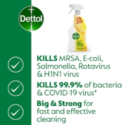 Picture of DETTOL POWER & FRESH CITRUS SPRAY (P)