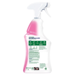 Picture of DETTOL POWER & FRESH POMEGRANATE SPRAY (P)