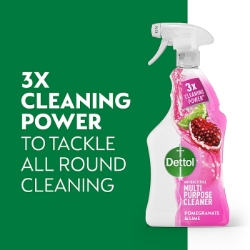 Picture of DETTOL POWER & FRESH POMEGRANATE SPRAY (P)