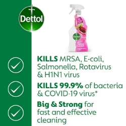 Picture of DETTOL POWER & FRESH POMEGRANATE SPRAY (P)