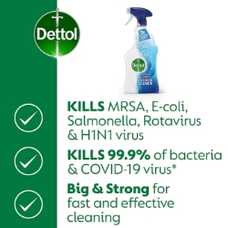 Picture of DETTOL POWER & PURE BATHROOM SPRAY (P)