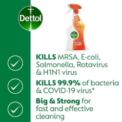 Picture of DETTOL POWER & PURE KITCHEN SPRAY (P)