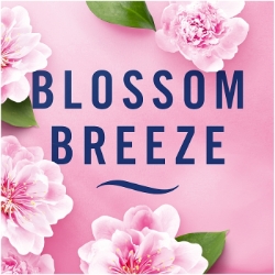 Picture of FEBREZE AIR FRESHENER - BLOSSOM BREEZE CO:PL