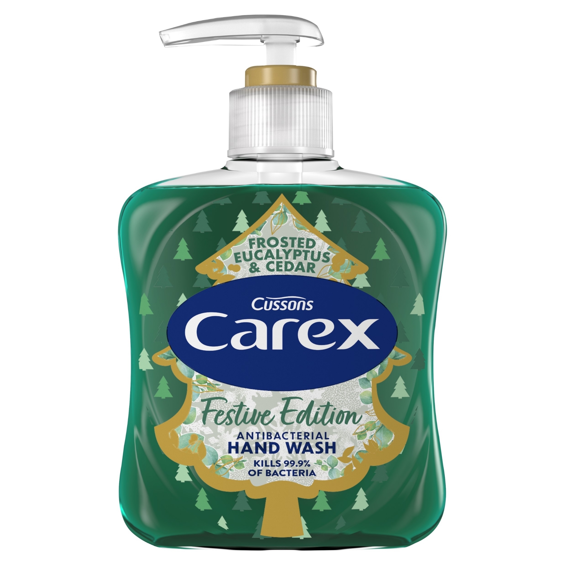 Picture of CAREX HANDWASH - CHRISTMAS EUCALYPTUS & CEDAR(wsl)