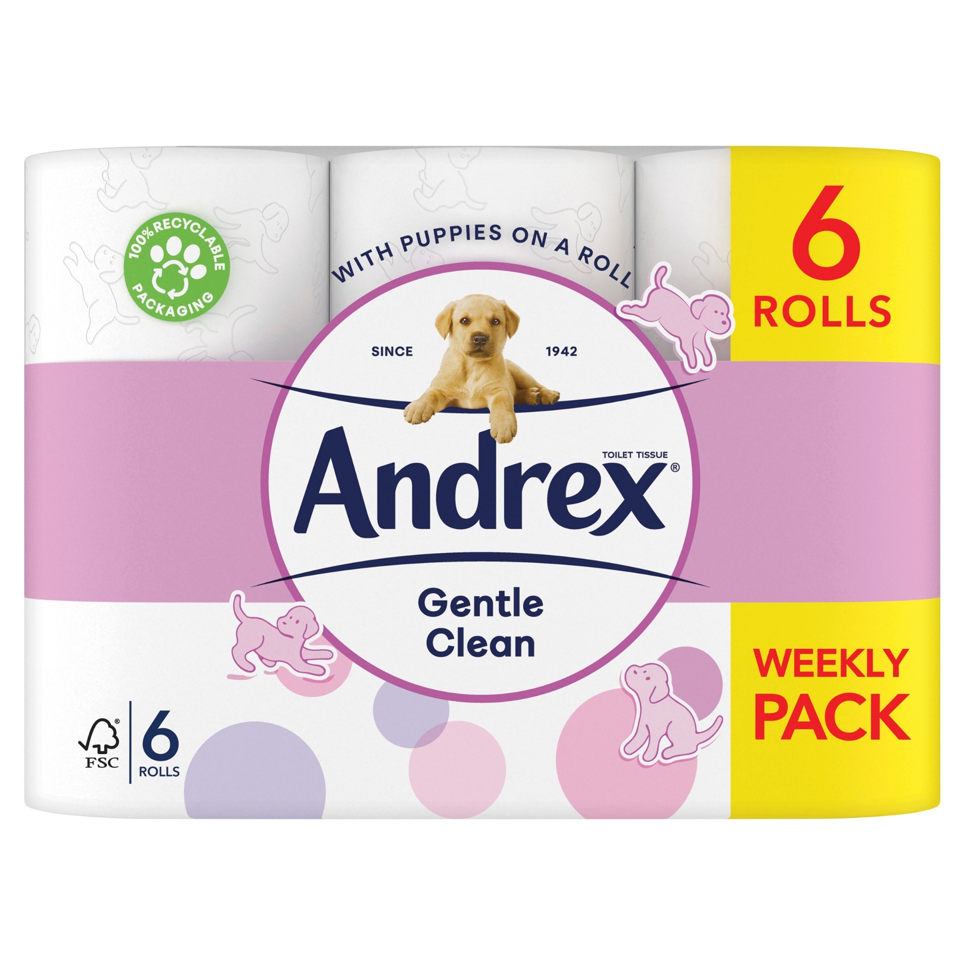 Picture of ANDREX TOILET ROLL - GENTLE CLEAN 170sht (c)