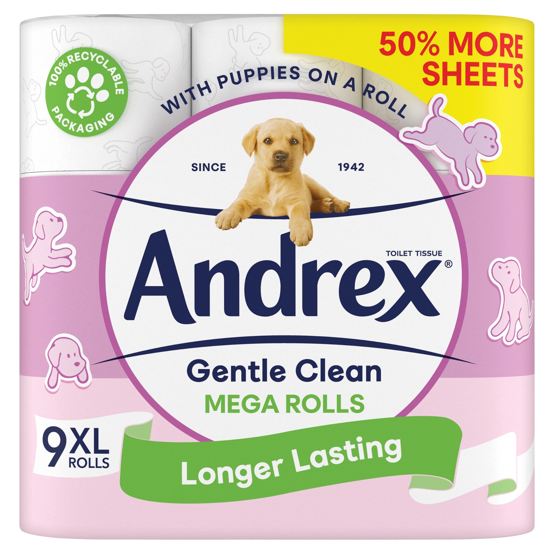 Picture of ANDREX TOILET ROLL - GENTLE CLEAN MEGA 255sht (c)