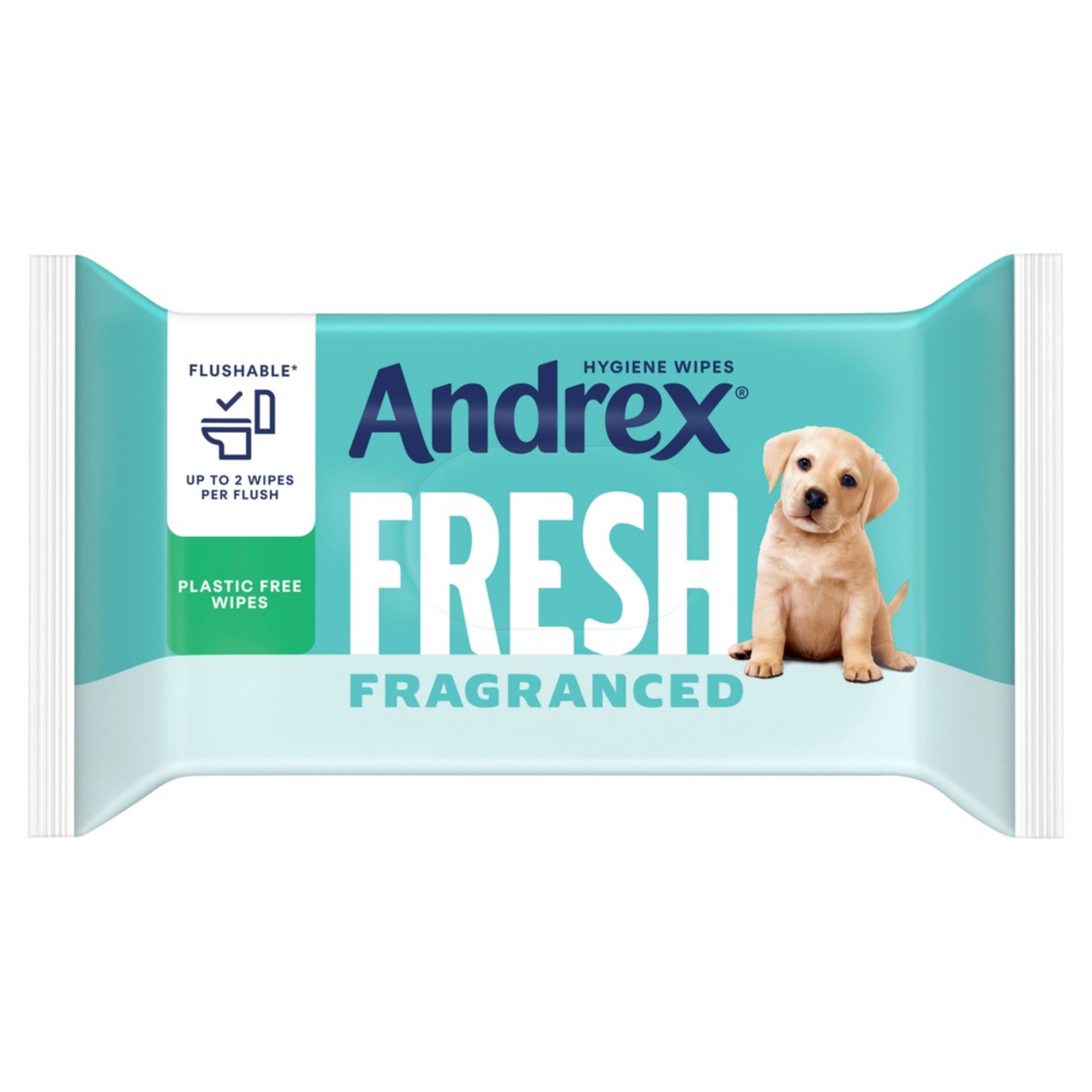 Picture of ANDREX HYGIENE WIPES - FRESH FRAGRANCED FSC