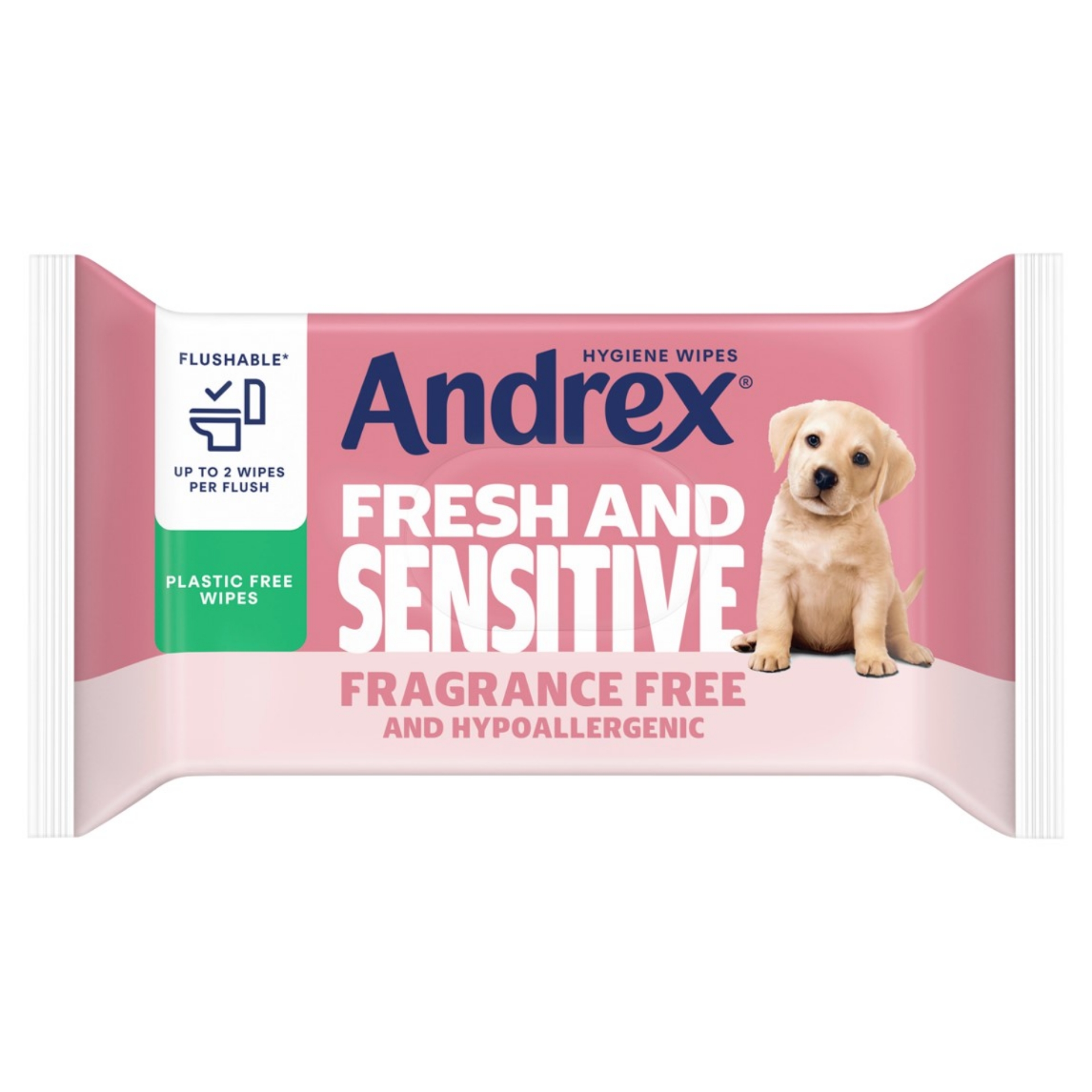 Picture of ANDREX HYGIENE WIPES - FRESH & SENSITIVE FSC