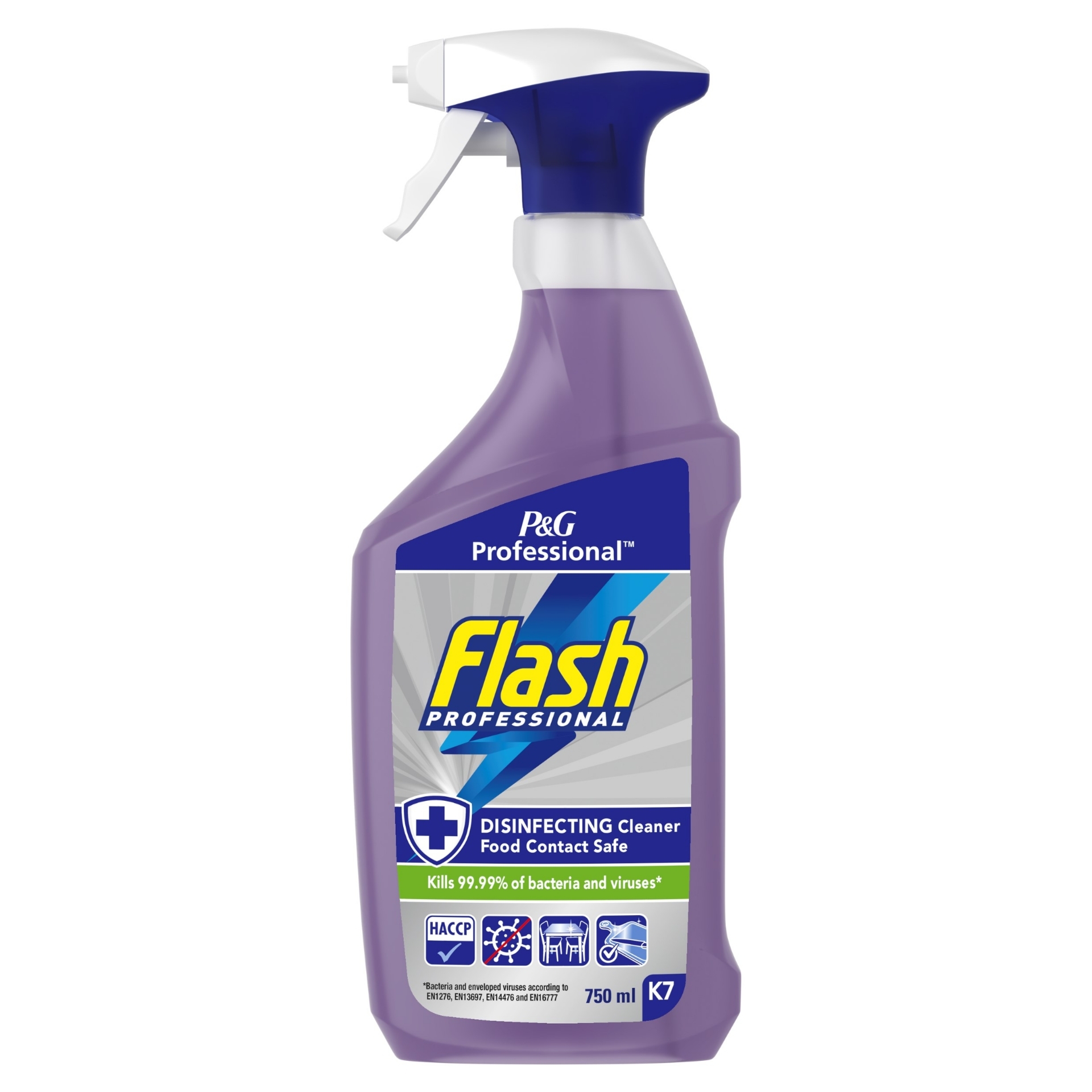 Picture of FLASH PROF - FOOD SURFACE SPRAY CO:IT(P)