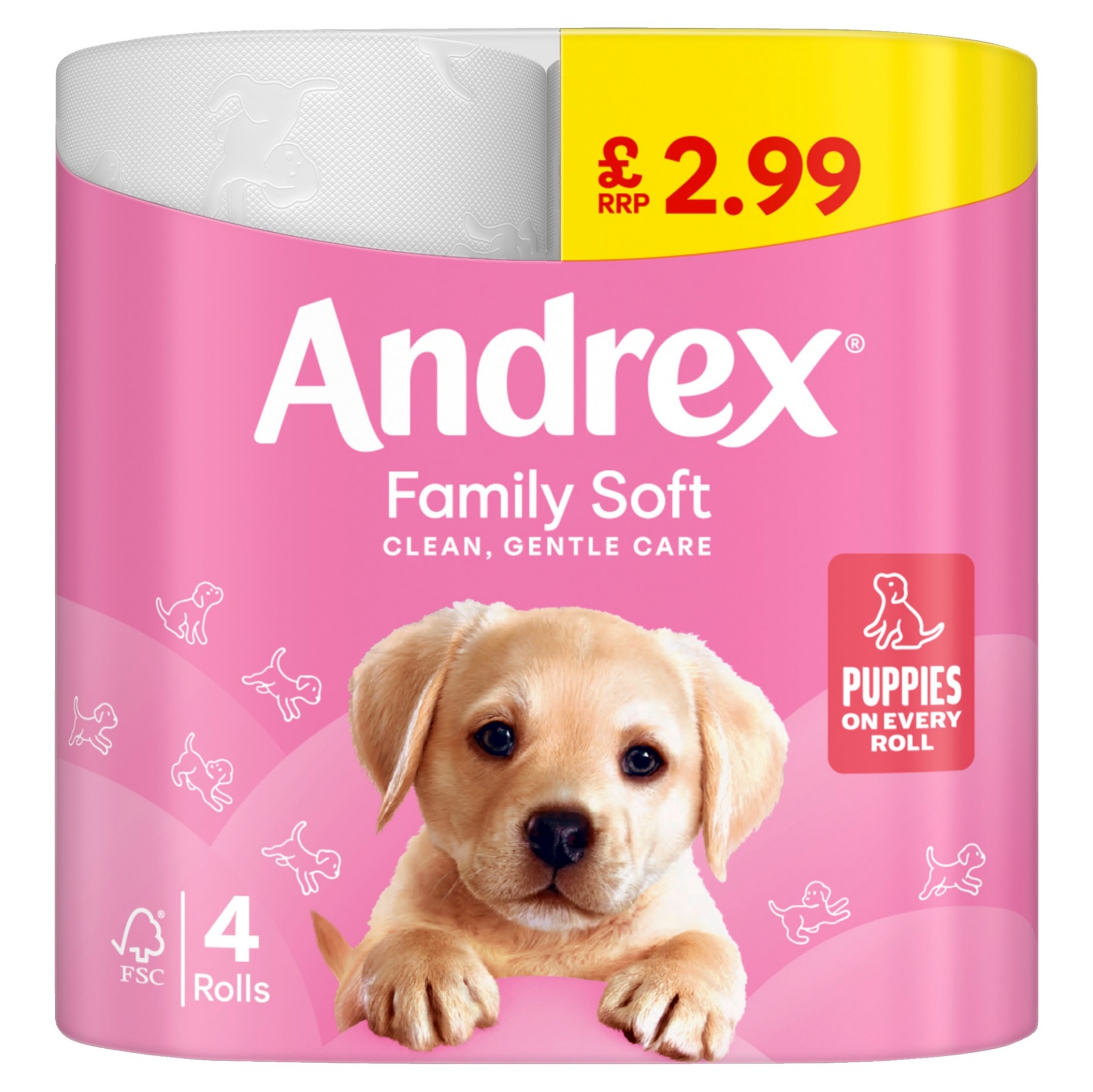 Picture of ANDREX TOILET ROLL - FAM SOFT pm2.99 170sht FSC