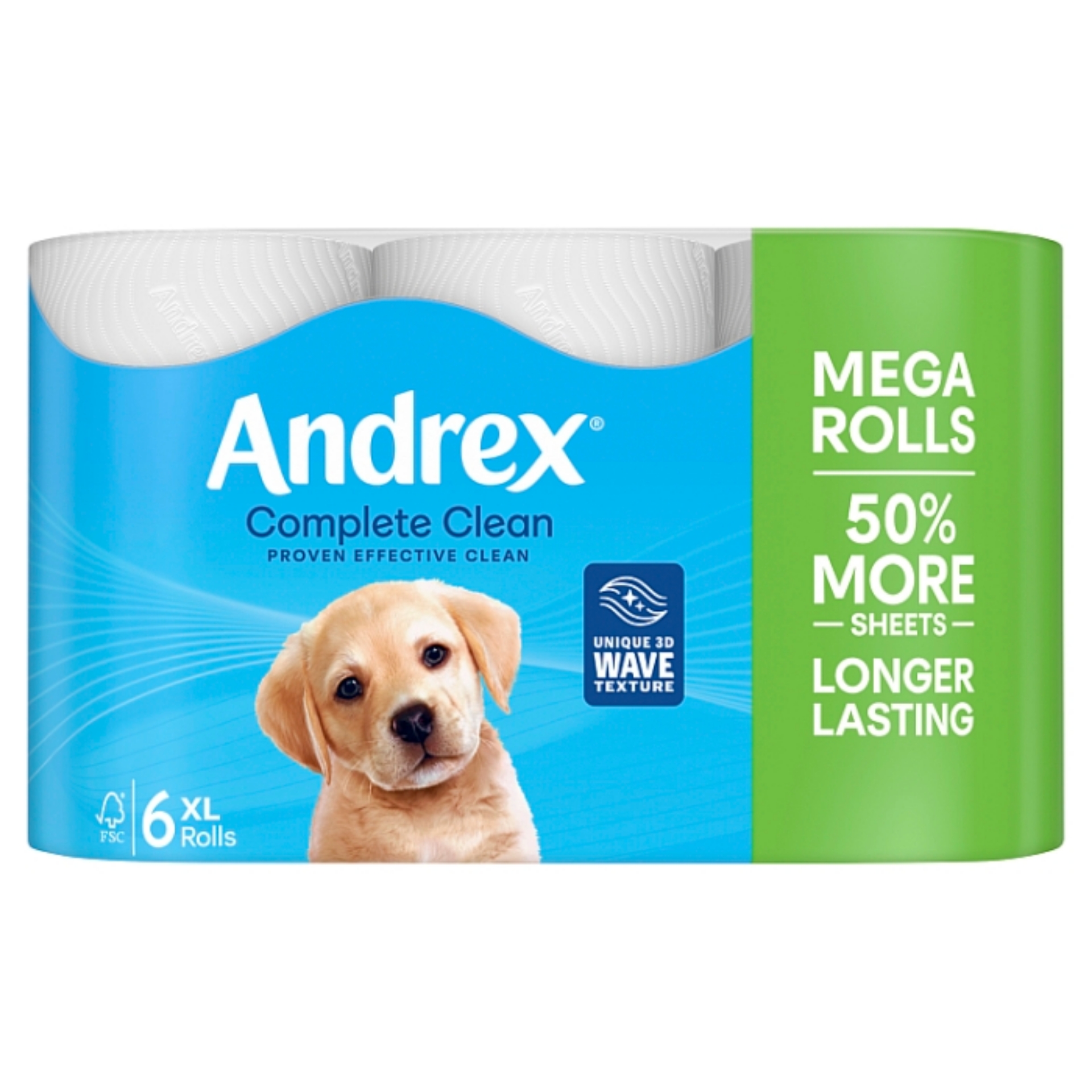 Picture of ANDREX TOILET ROLL COMPLETE CLEAN MEGA 290sht