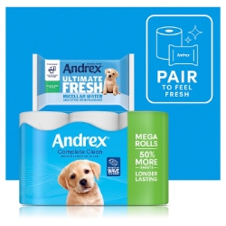 Picture of ANDREX TOILET ROLL COMPLETE CLEAN MEGA 290sht